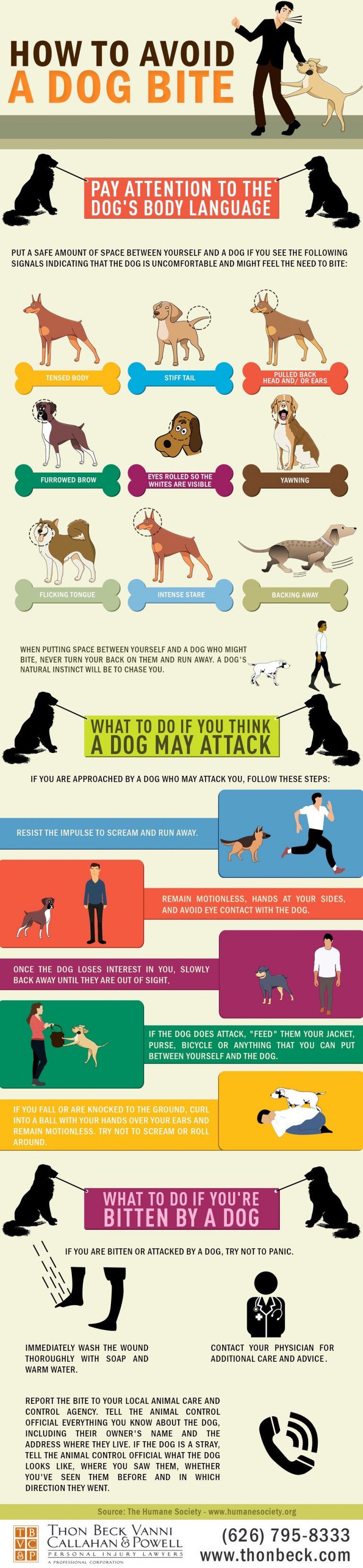 Infographic - How To Avoid A Dog Bite - Thon Beck